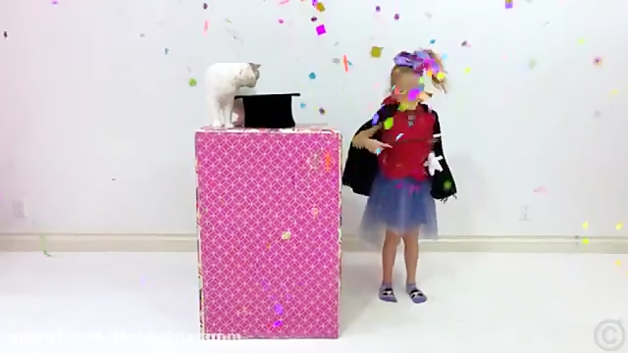 ناستیا استیسی