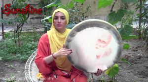 دف نوازی عید غدیر خم  مولودی ع...