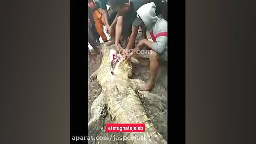 خورده شدن یک مرد و کودک توسط ت...