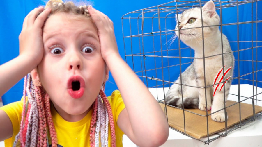 چالش گربه ای ایوا و مامان
