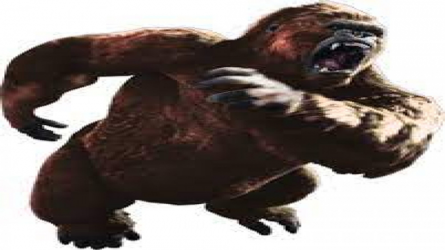 کشته شدن مار بوا توسط کینگ کون...