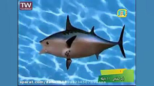 فیلم باب اسفنجی