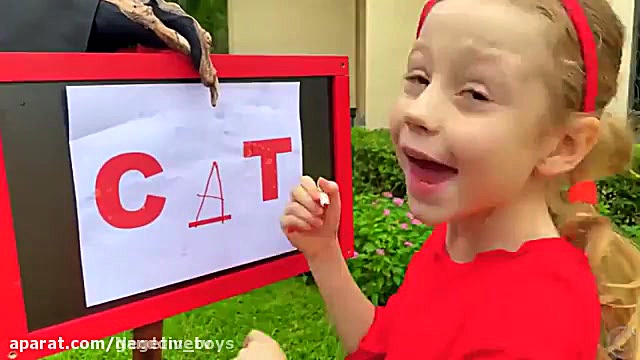 ناستیا و استیسی  ماجراهای ناست...