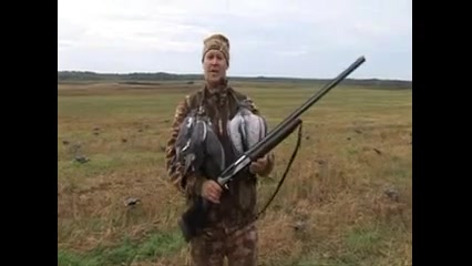 شکار کبوتر باسلاح ساچمه زنی