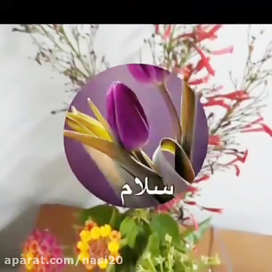 کلیپ سلام صبحتون بخیر .استوری جدید صبح بخیر . روزتون به زیبایی گل ها — free download