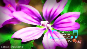 موزیک ویدئو ترکی قزل گول