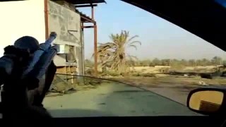 شکار پرنده بادیانا 52