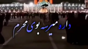 کلیپ جدید محرم . میرسه بوی محر...