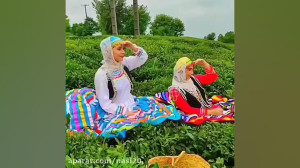 کلیپ شاد صبح بخیر . آهنگ شمالی...