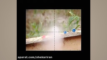 کلیپ جالب از تفنگ پی سی پی وای...