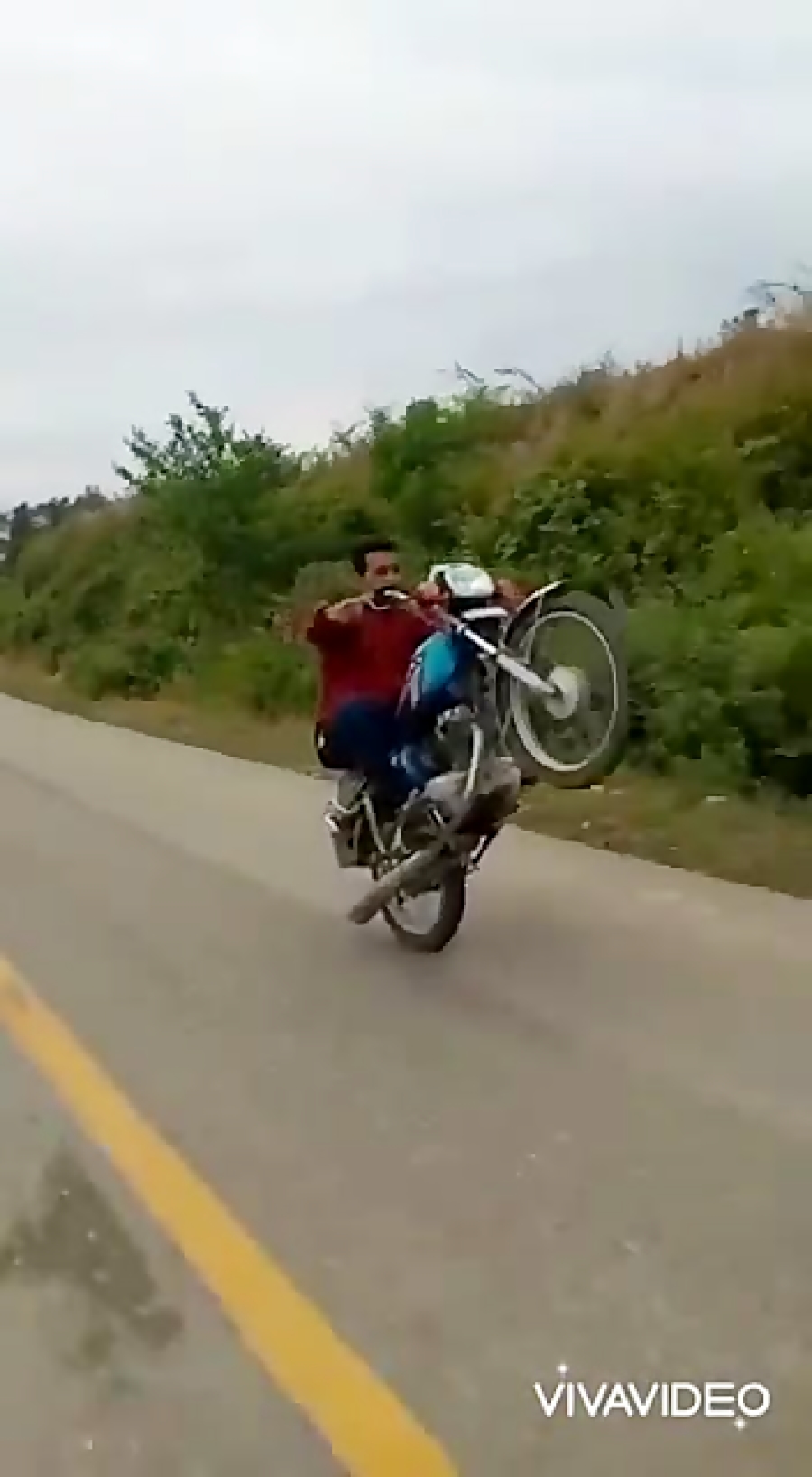 تک چرخ محمودشهریاری گلستان ،کل...