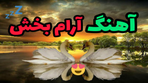 آهنگ آرامبخش مخصوص خواب و یوگا