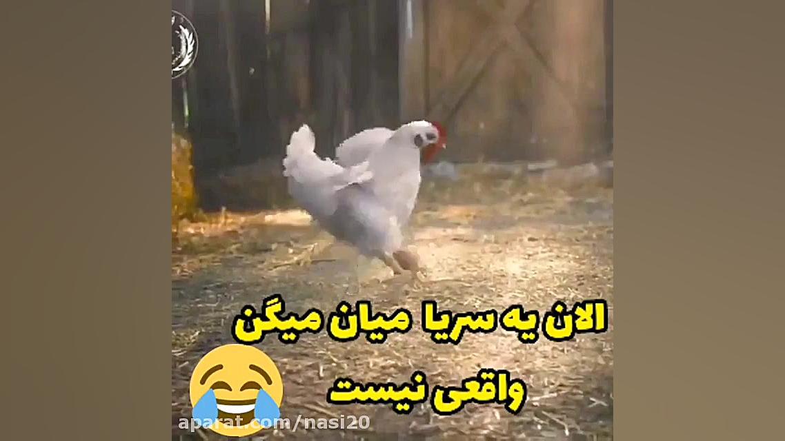 مرغ فوتبالیست  کلیپ باحال  ببی...