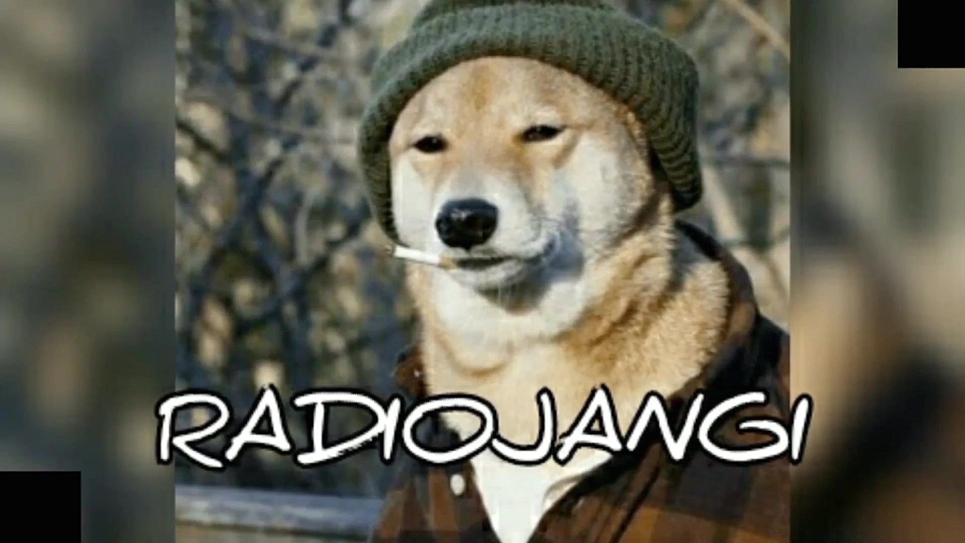 آهنگ ما جیگر جنگ داریم هم جیگر...