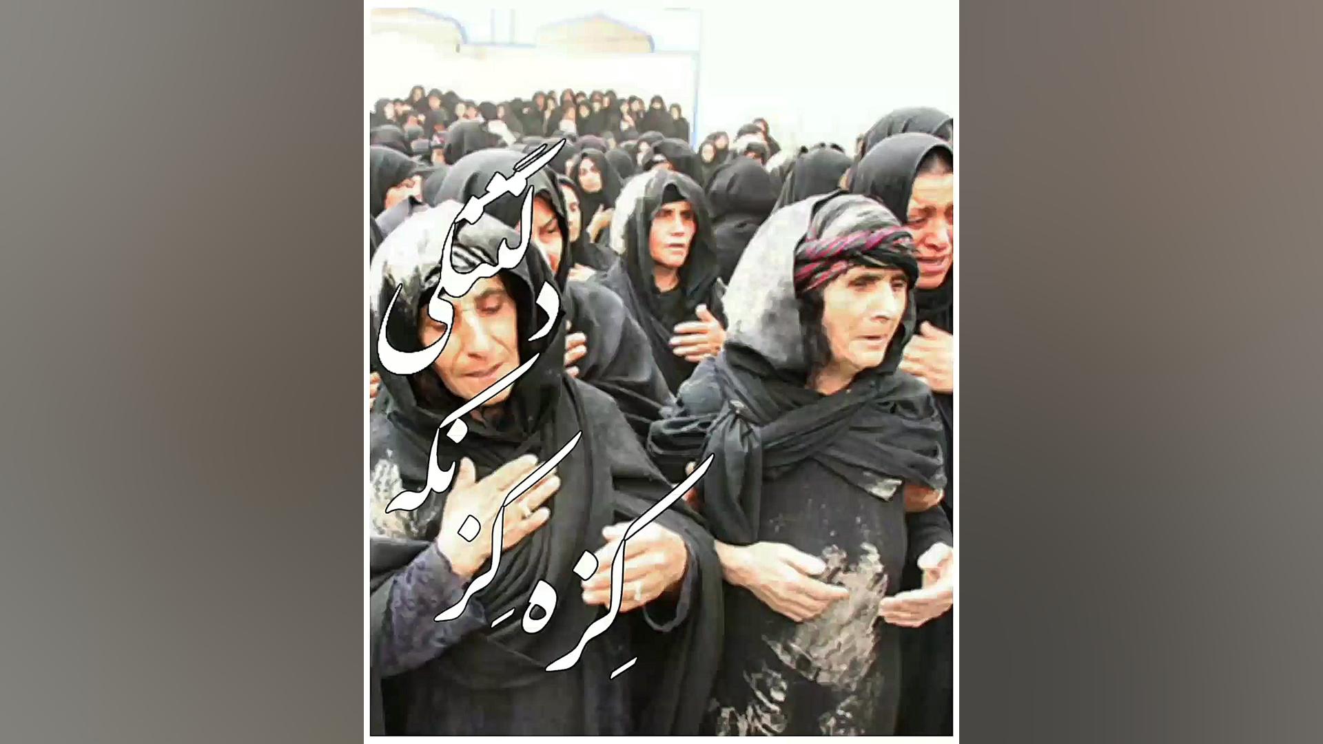 هوره. مور. مورلکی.صفر برزویی....