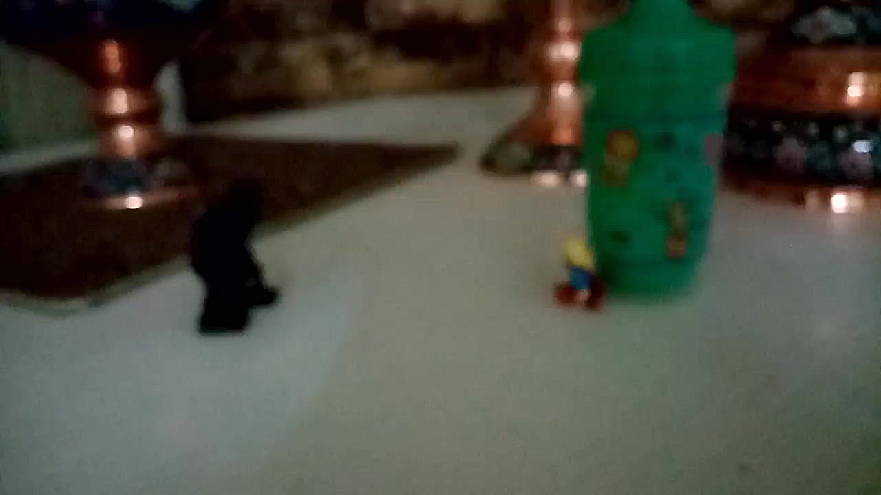 مبارزه ونوم وسوپر گرل