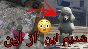 سگ شدیم...راز عجیب و معمایی در...