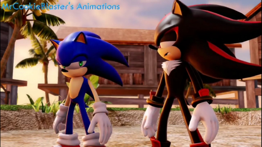 سونیک و شدو در مبارزه ی رقابتی...