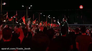 سید مجید بنی فاطمه، دم