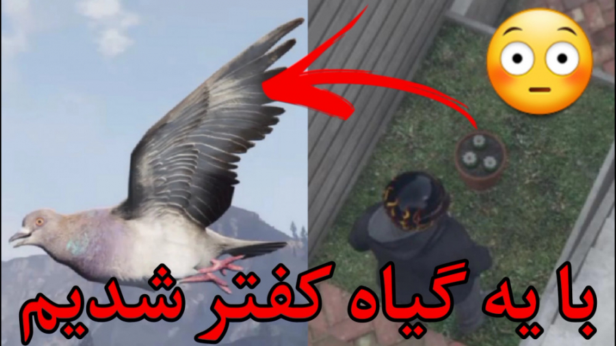 پرواز کردیم..راز دیده نشده و م...