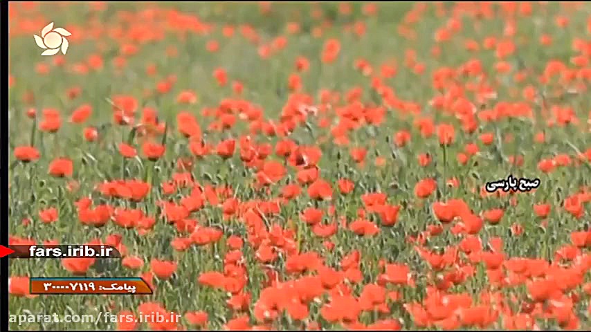 ترانه &quot; زندگی &quot; با ص...