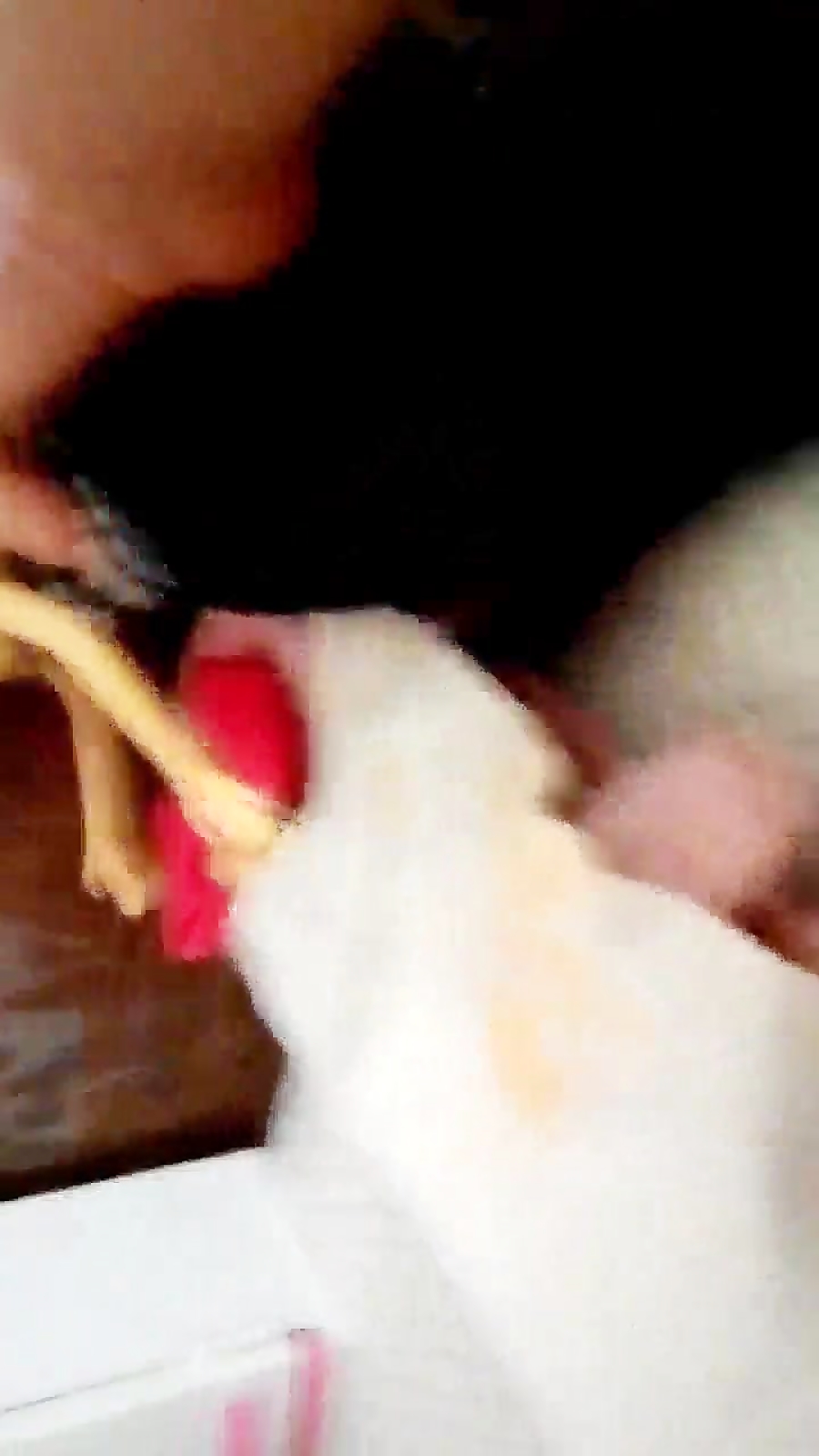 باربی حامله