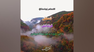 روشی فوق العاده برای کنترل شهو...