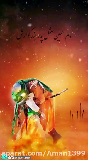 استوری قاسم بن حسن سلام الله ع...