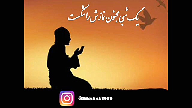 نیایش مجنون، لیلی و مجنون، گوی...