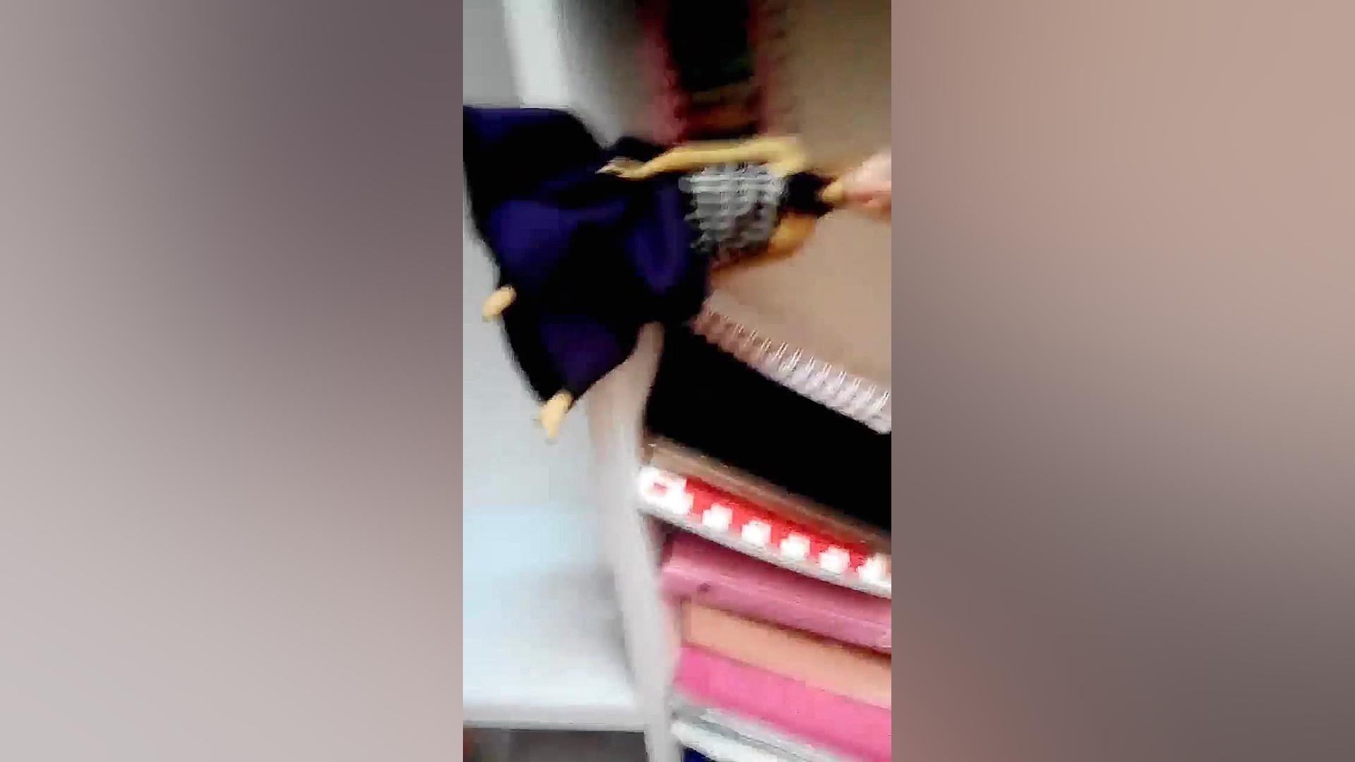 باربی حامله