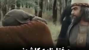 مختار نامه کاشونی