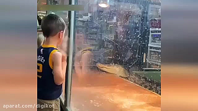 حمله ناگهانی تمساح به یکی از م...