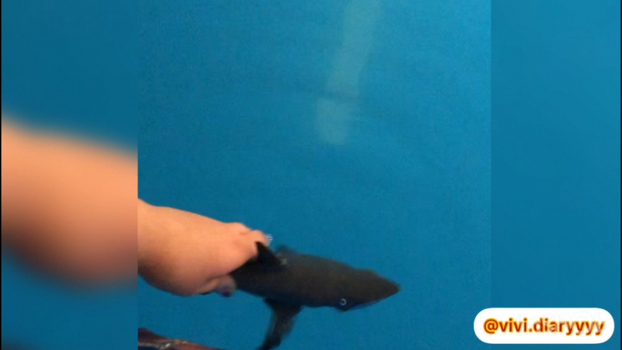 آموزش زبان انگلیسی با وی وی با...