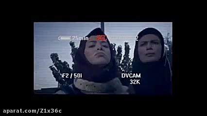 دزدی حرفه ای علی صادقی