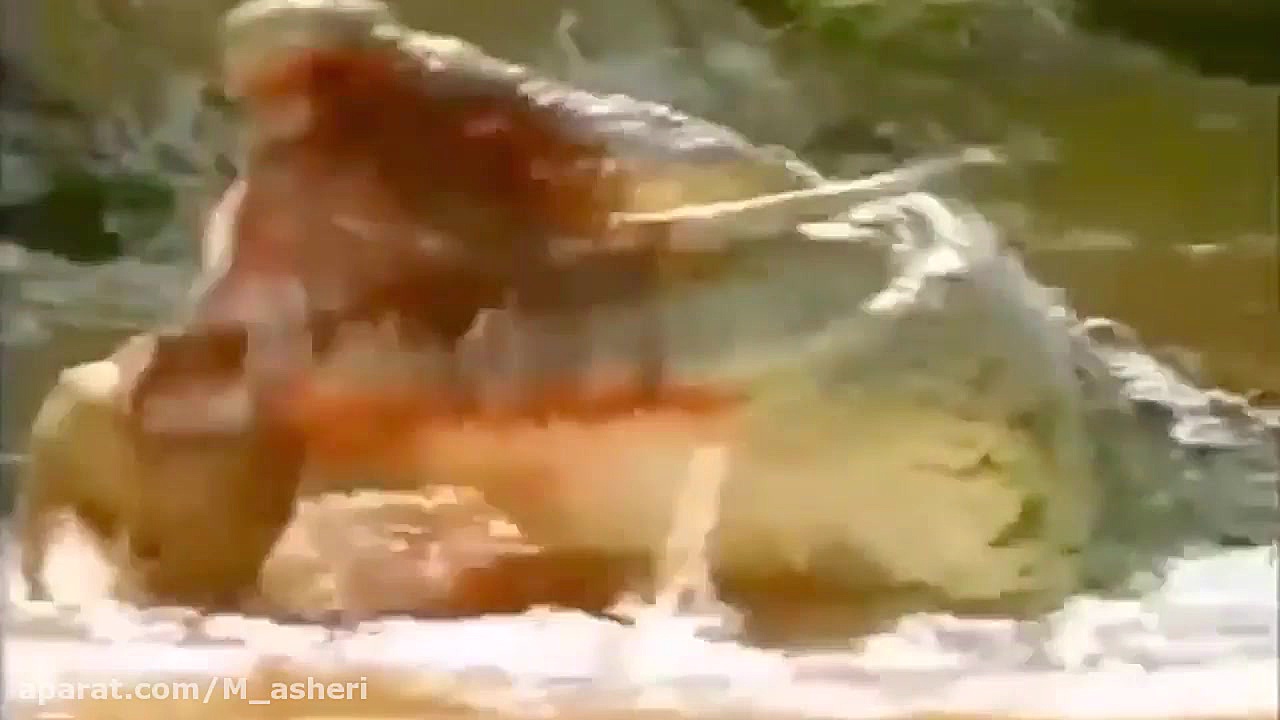 راز بقا جدید خارجی  نبرد حیوان...