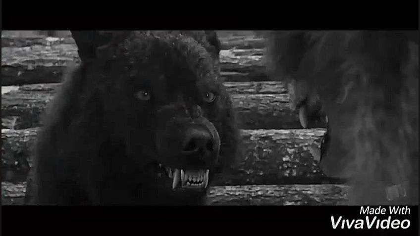 کلیپ گرگ و میش  آهنگ شلوار پلن...