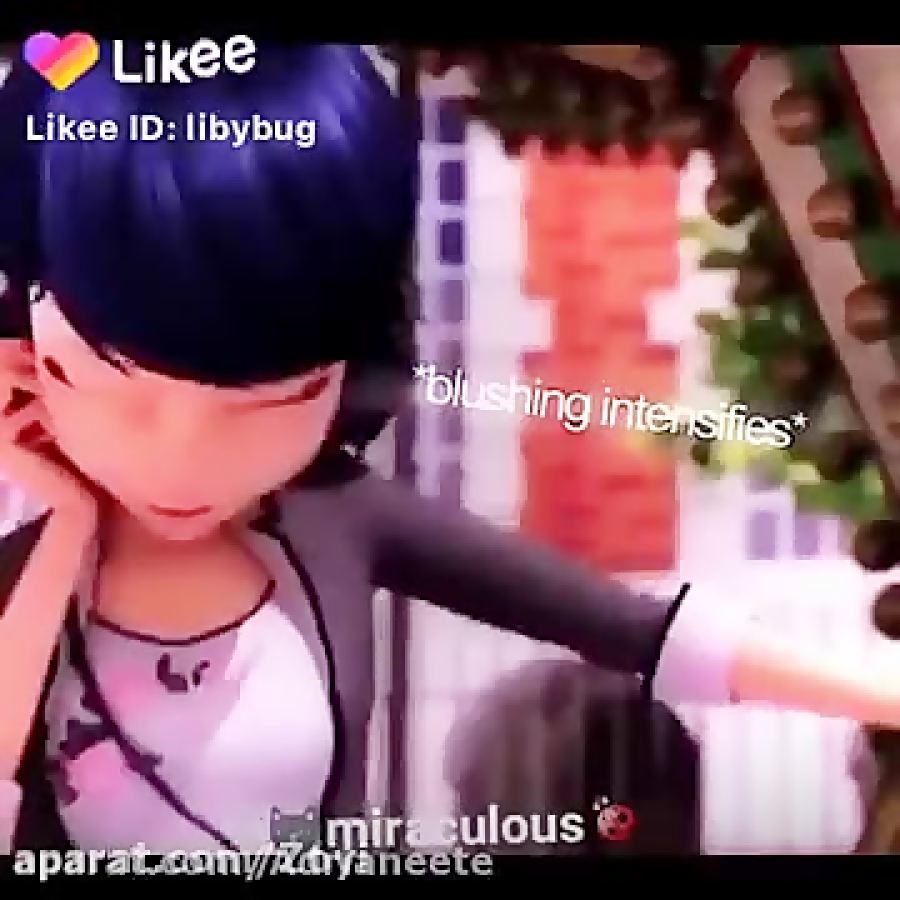 میراکلس مرینت