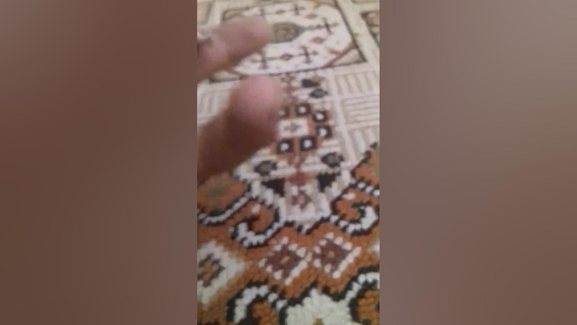 انواع غذای عروس هلندی