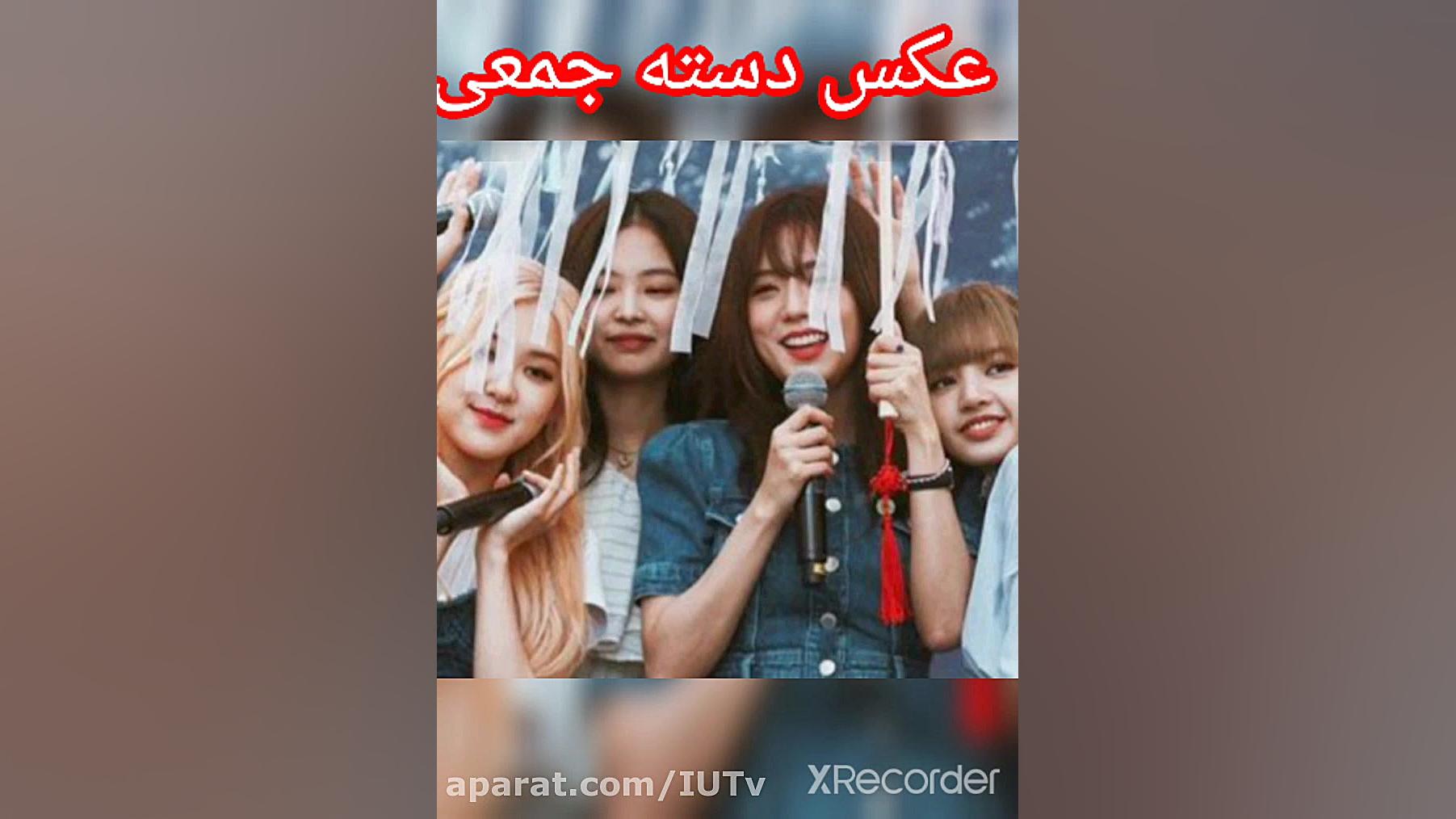 بلک پینک کیوتم