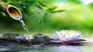 صدای کاملا آرامش بخش بخش باران...