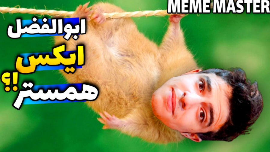 چرا من باید همستر باشم!؟ | میم...