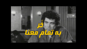 خر به تمام معنا