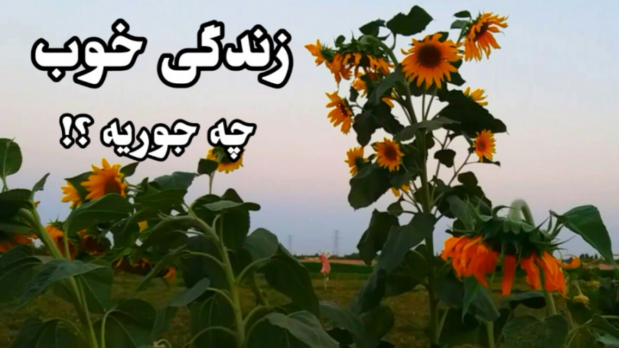 زندگی خوب چه جوریه ؟! | ولاگ م...