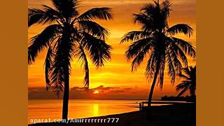 شَروه خوانی خانم سهیلا خواجه خ...