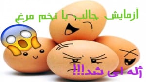 آزمایش احمقانه با تخم مرغ