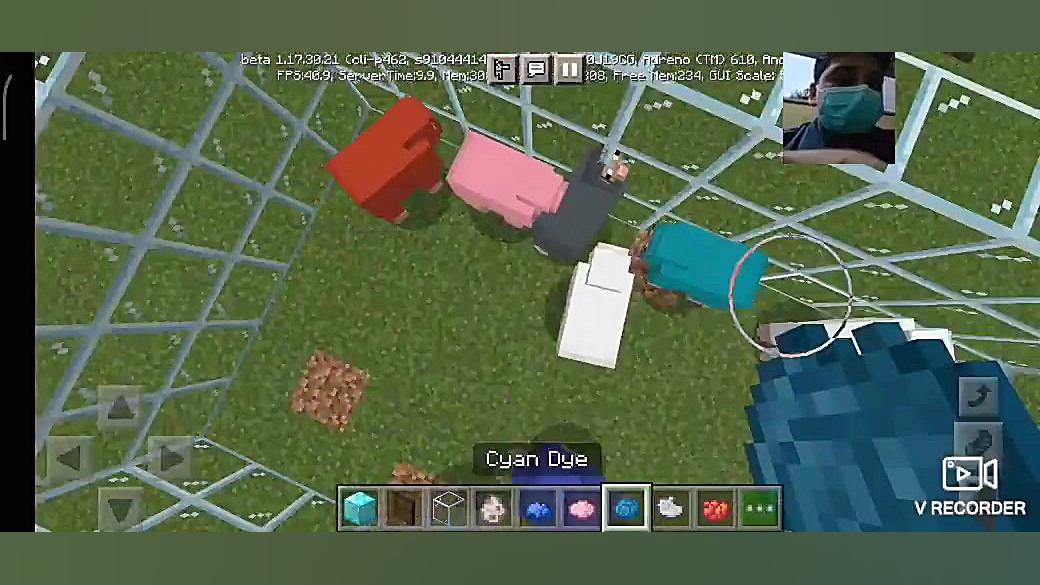 ماینکرافت بره رنگی