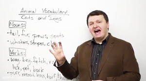 English Vocabulary – CAT...