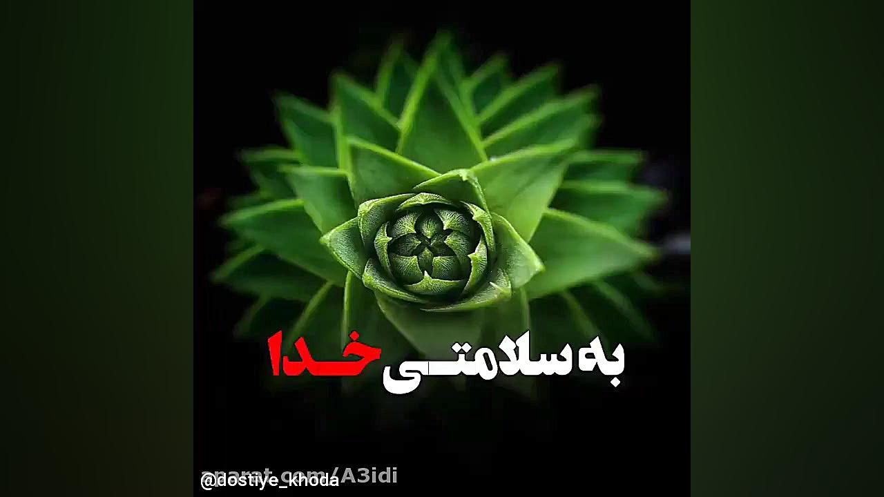 مناجات با خدا یاد خدا