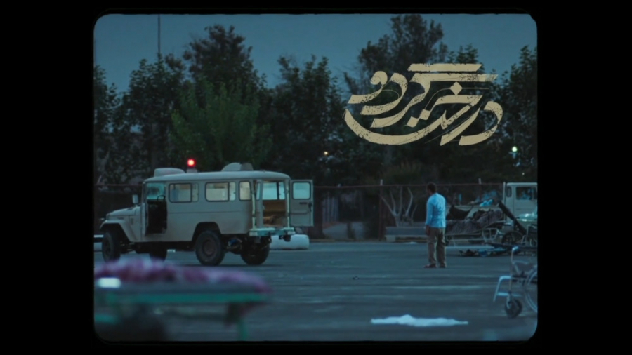 تیزر فیلم سینمایی درخت گردو