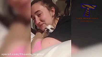 کلیپ حیوانات خنده دار  ققنوس ا...